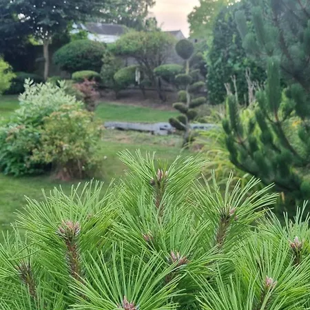 Le Torii - Les D'helene Et Wil